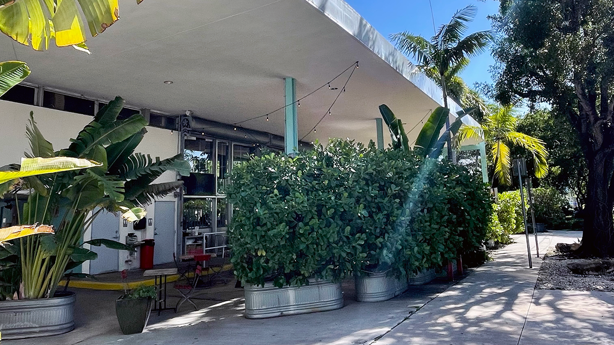 best pizza in Miami Local SEO